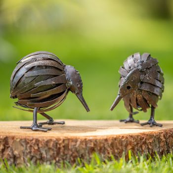 Twee Kiwi's